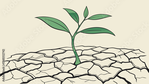 A small green plant growing through cracked dry earth symbolizing resilience and hope in a harsh environment
