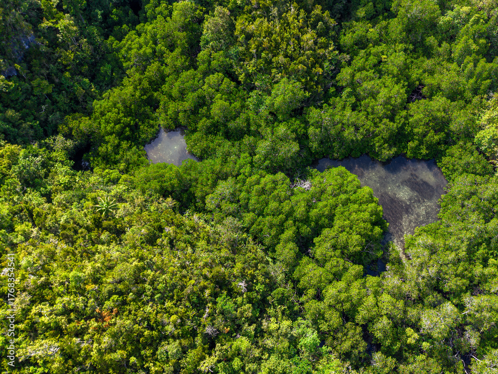 Naklejka premium Aerial view of tropical mangrove islands surrounded by turquoise and deep blue water in Raja Ampat, Indonesia. 