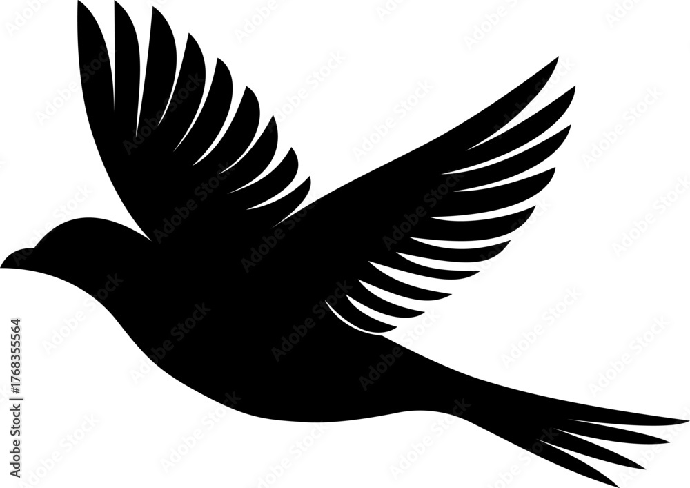 Fototapeta premium Eagle birds vector