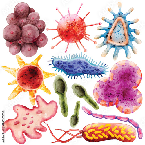 Watercolor Virus Germs Bacteria Clip Art Set Microbiology Science Medical Pathogen Cell Amoeba Illustration Colorful Microbe Educational Health