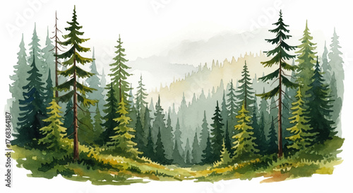Hand-painted watercolor landscape of an evergreen forest clearing with misty mountains, a beautiful nature vector illustration