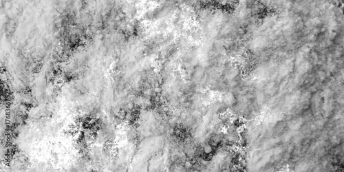 Abstract silver leaf texture high resolution, light gray seamless backdrop with gentle gradient texture, Soft white powder clean nature panoramic view Ideal for seasonal Design.