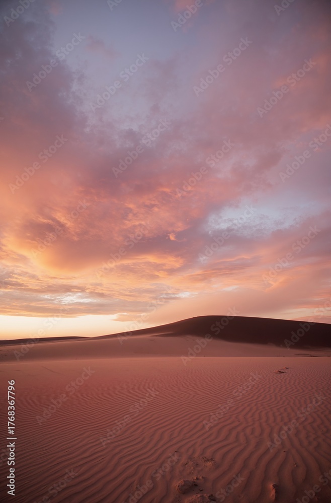 Obraz premium sunset in the desert