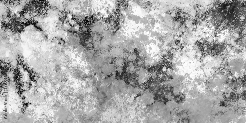 Abstract silver leaf texture high resolution, light gray seamless backdrop with gentle gradient texture, Soft white powder clean nature panoramic view Ideal for seasonal Design.