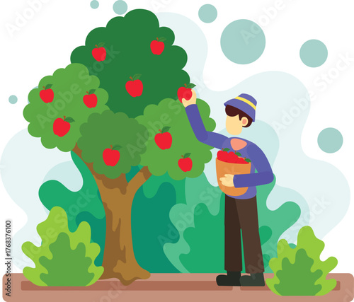 Boy harvesting red apples from green tree illustration