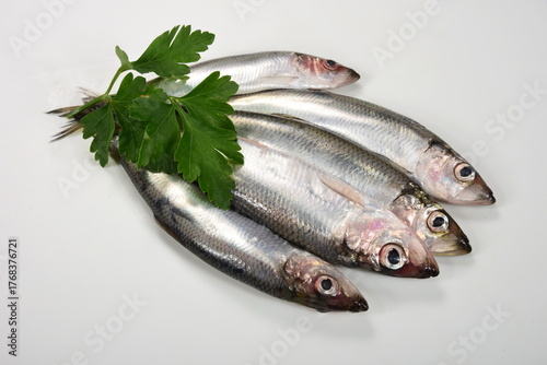 lots of Fresh whole Baltic herring Clupea harengus membras with green leaves on white background