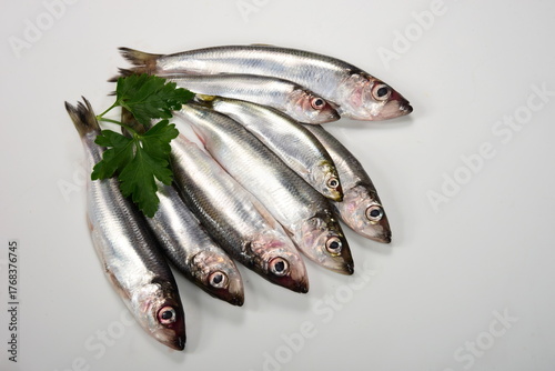 lots of Fresh whole Baltic herring Clupea harengus membras with green leaves on white background