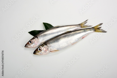 lots of Fresh whole Baltic herring Clupea harengus membras with green leaves on white background