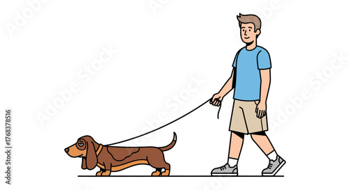 Illustration of a dachshund being walked by its owner depicting a pleasant daily activity outdoors