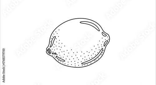 Elegant line drawing of a lemon, perfect for culinary illustrations and branding projects
