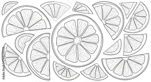 Hand drawn citrus fruits slices creating an abstract pattern illustration