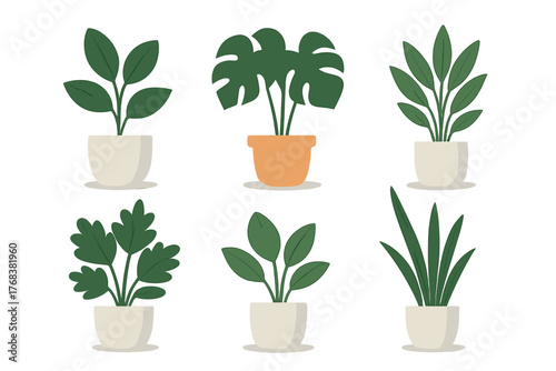 Diverse collection of potted green foliage plants for home and office decoration