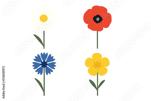 Four common wildflowers: daisy, poppy, cornflower, and buttercup isolated on white