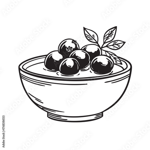 Sketch of a bowl filled with berries and sauce, garnished with leaves.