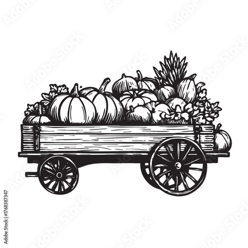 A wagon full of pumpkins, gourds, and other harvest produce.