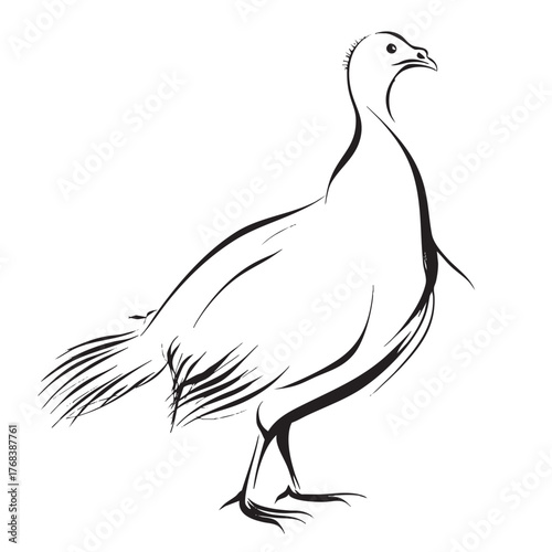 Simple brush stroke sketch of a standing turkey.
