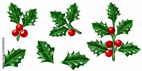 Collection of festive holly sprigs and leaves with red berries for christmas decorations