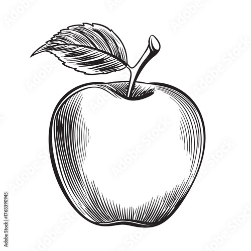 A detailed black and white sketch of an apple with a leaf.