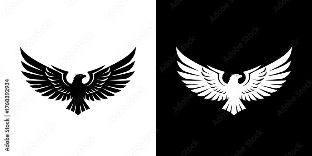 Obraz premium Black and white wing graphics on contrasting