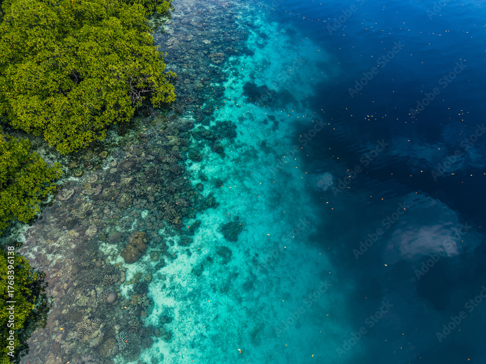 Fototapeta premium Aerial view of tropical islands and coral reefs surrounded by turquoise water in Raja Ampat, Indonesia. 