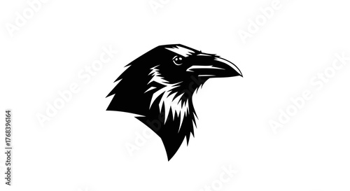 A striking black and white illustration of a raven's head in profile, showcasing its sharp beak and detailed feathers.
