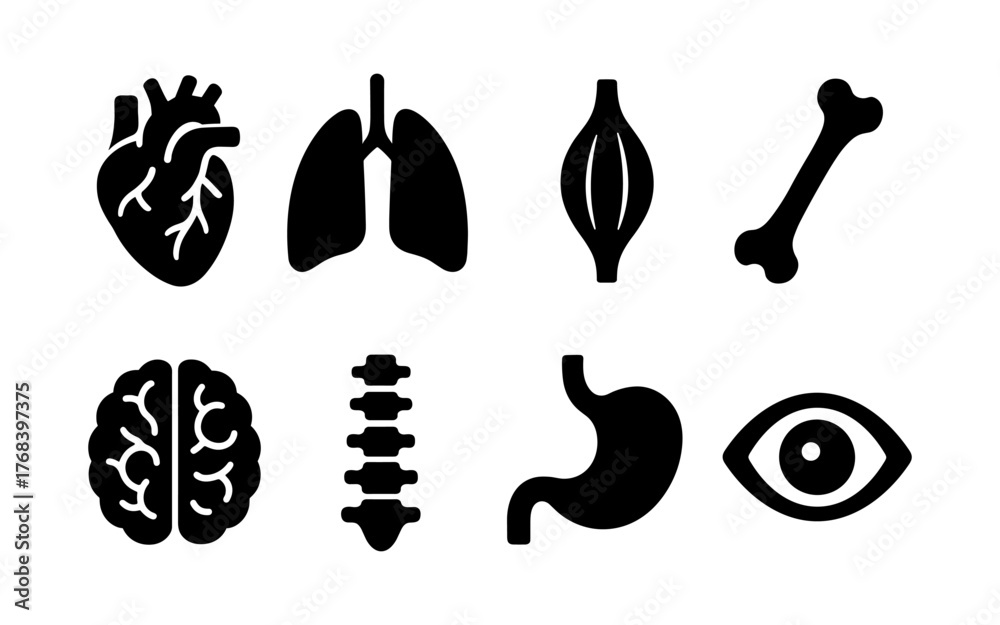 Obraz premium Set of black human anatomy icons including heart, lungs, muscle, bones, brain, spine, stomach, and eye. Flat silhouette style