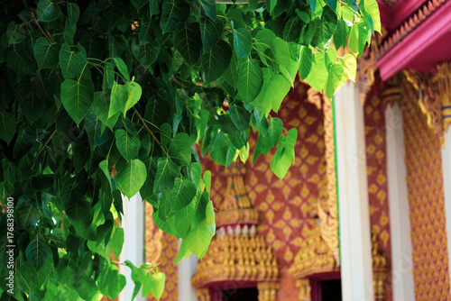 colorful houses in the city