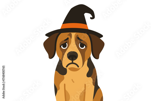 A mixed-breed dog with melancholy eyes, sporting a Halloween witch hat