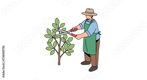 Person wearing a hat and apron trimming a young tree with shears, maintaining the greenery in the outdoors with precision.
