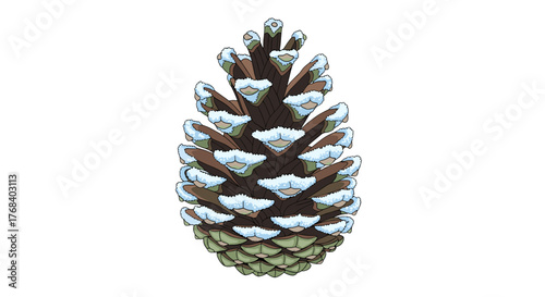 A snow-covered pinecone stands tall. Its scales display a beautiful contrast against the snowy white background.