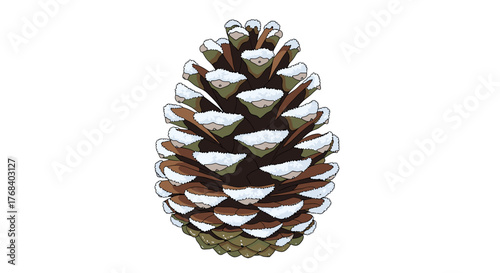 A brown pinecone in a vertical composition with white snow perched atop the scales against a stark transparent background.