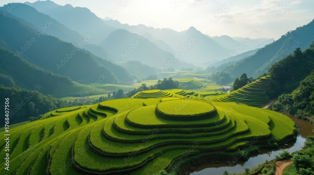Fototapeta premium Vista aérea superior de arrozales en terrazas rodeados de montañas brumosas, un exuberante paisaje verde y un patrón de textura agrícola natural