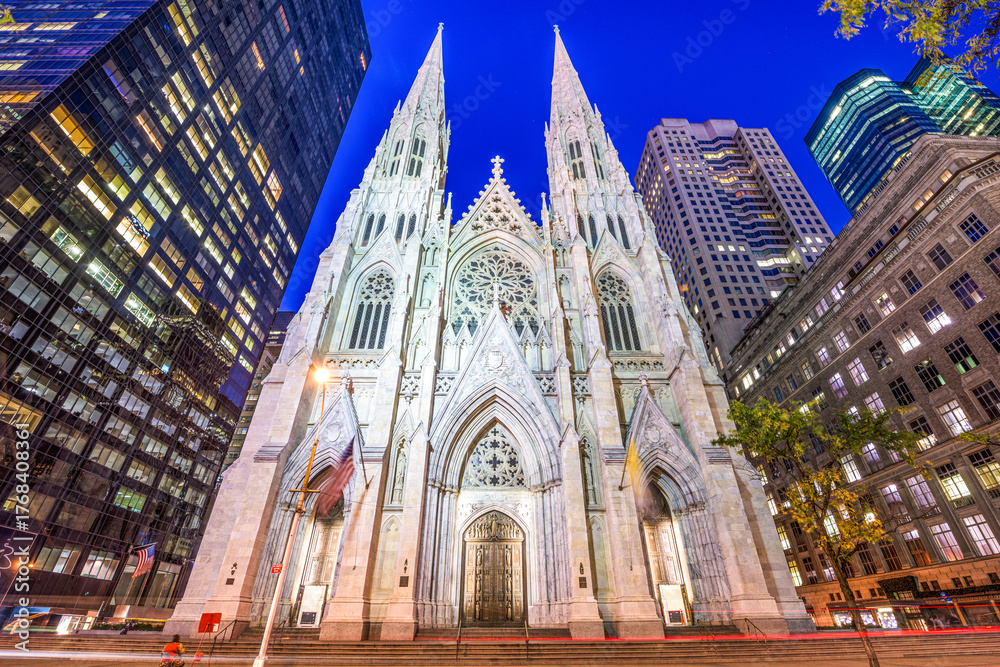 Obraz premium St. Patrick's Cathedral in New York City 588