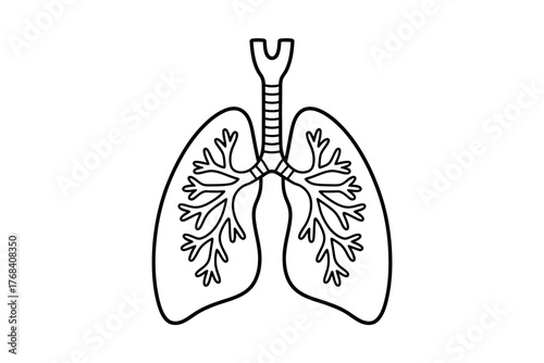 An illustration of the human lungs and trachea shows their branching structure.