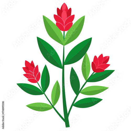 hebe red hugh on white background