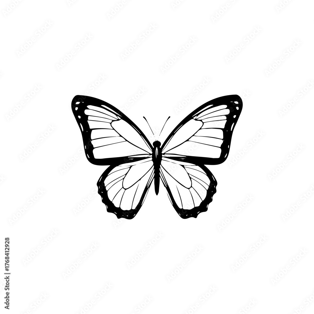 Obraz premium Vector illustration butterfly isolated on white