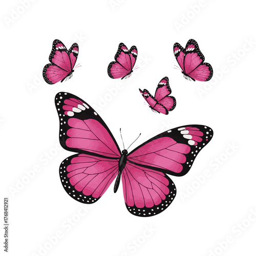 Vector set of butterflies