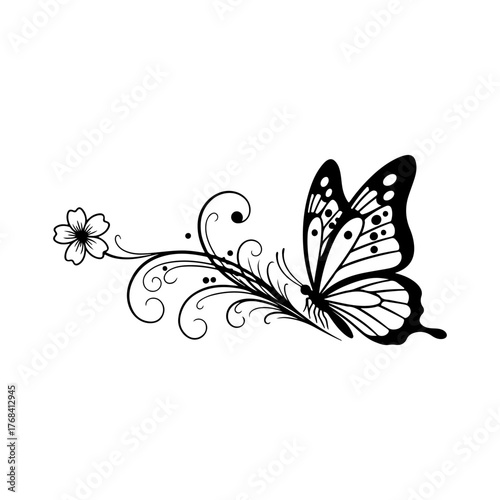 vector illustration of a butterfly