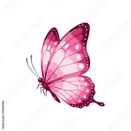 butterfly vector isolated on white