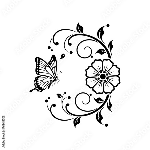 Butterfly vector on white background