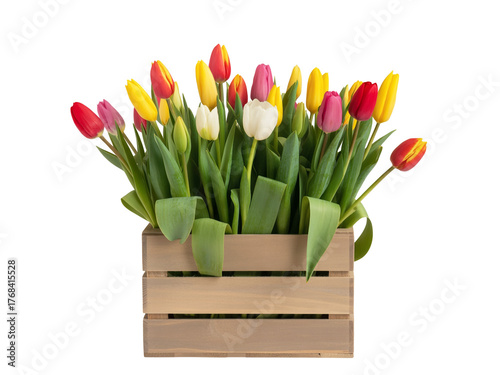 A vibrant arrangement of fresh tulips in a light brown wooden crate against a pure white background.