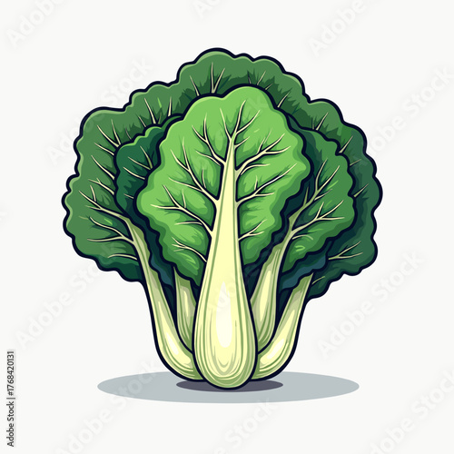 Fresh bunch of green bok choy or chinese cabbage vegetable