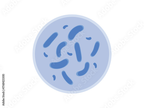 Lactobacillus Bacteria Illustration
