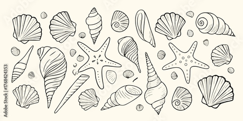 Collection of hand drawn seashells and starfish in a simple line art style on a cream background