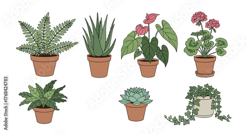 Collection of potted houseplants with various leaf shapes and floral elements, illustrated in a simple style.