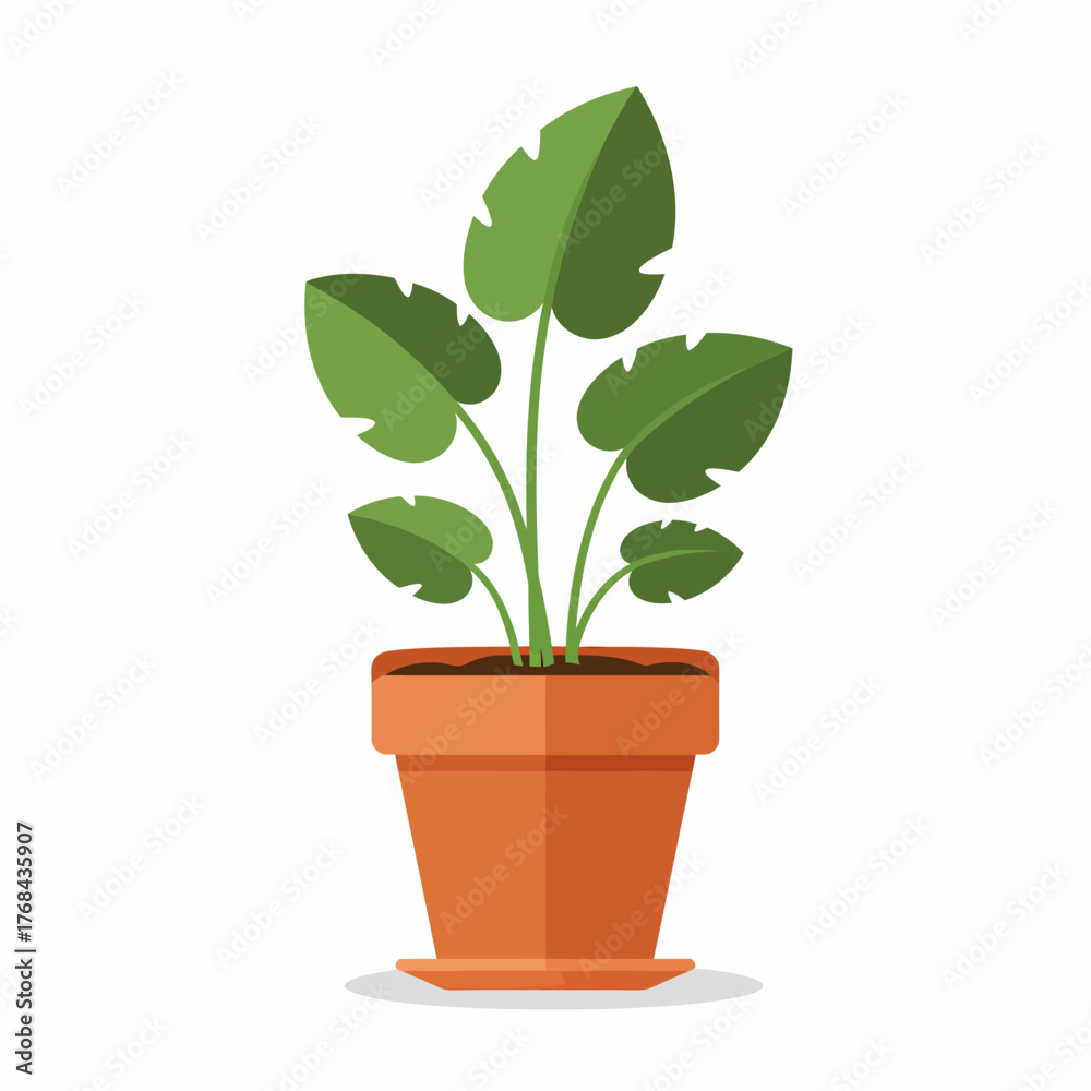 Obraz premium green plant in a pot