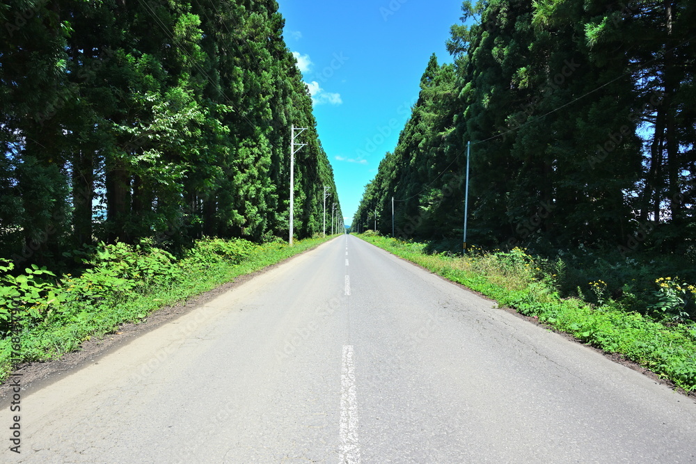 Fototapeta premium 農道に続く一直線の道（青森県）