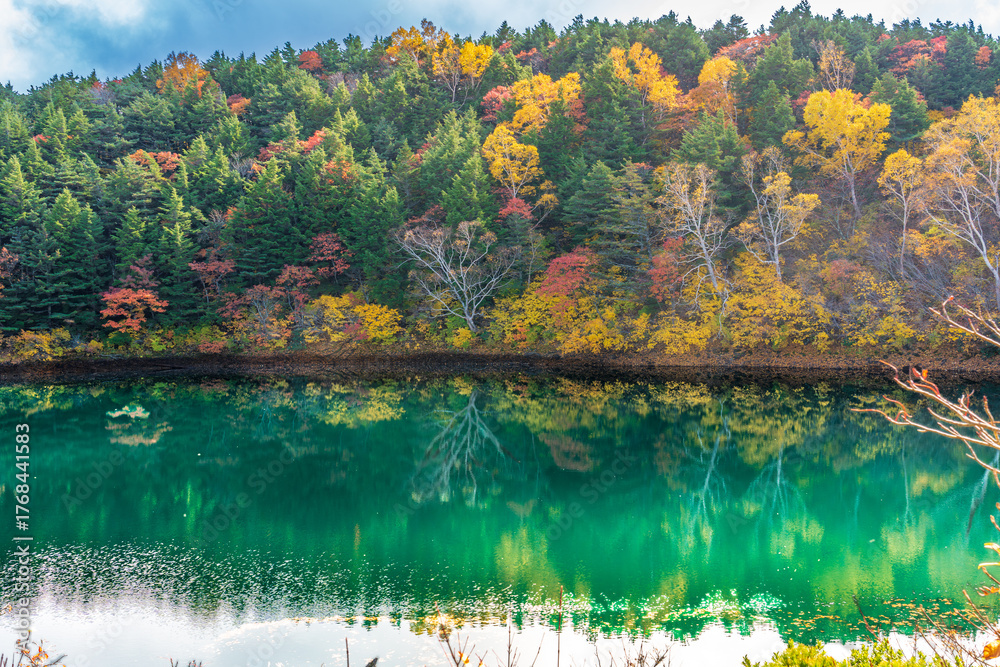 Fototapeta premium 浄土平樋沼の紅葉