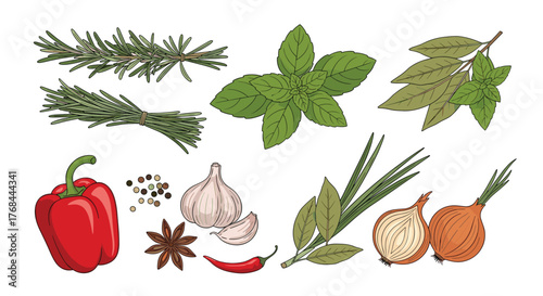 Collection of fresh herbs and spices arranged on a white background.
