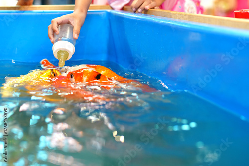 A child feeds vibrant koi fish using a bottle in a bright blue tank, capturing a tender moment of connection between humans and nature.